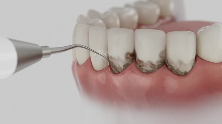 Reliable Dental contractor in Nash County County, NC by Dentist Open Now